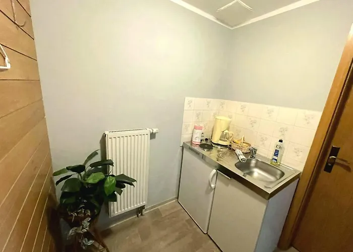 فندق مبيت وإفطار Riegler 3*